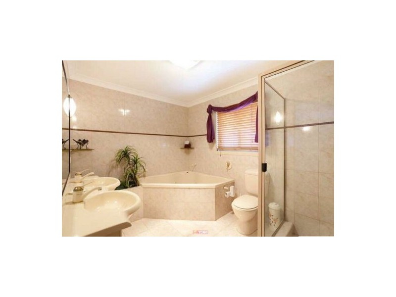 56 Shylock Cr, Sunnybank Hills QLD 4109