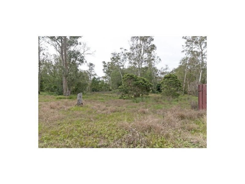 91 Vied Rd, Pallara QLD 4110