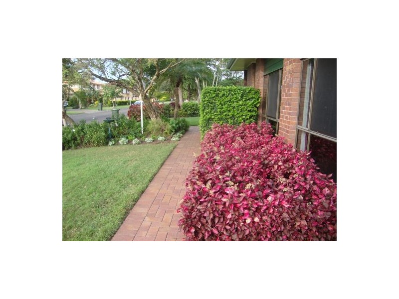 70 Peppercorn St, Sunnybank Hills QLD 4109