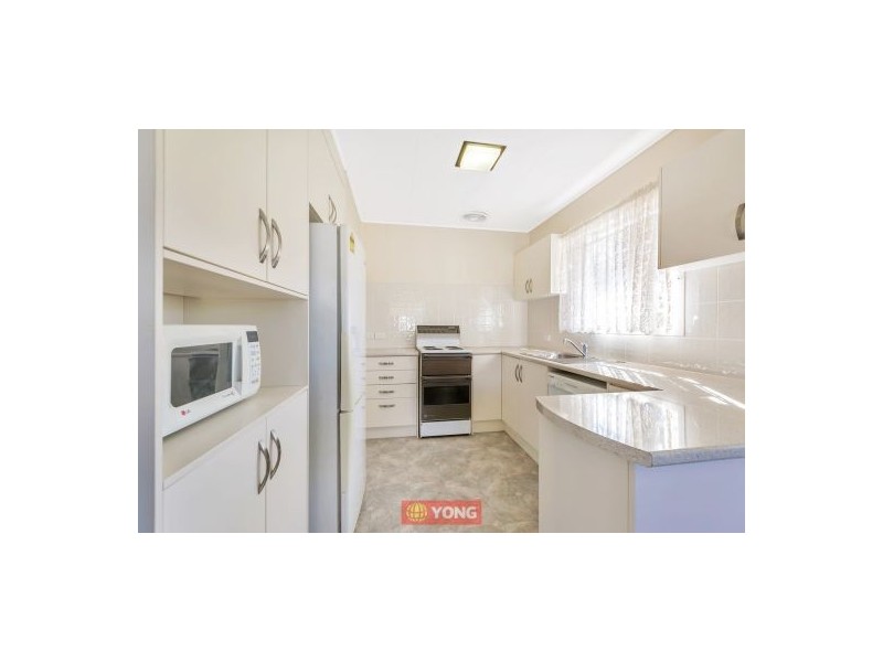 17 Gonzales St, Macgregor QLD 4109