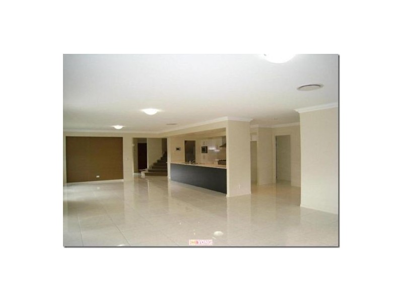 19 Beechwood Cl, Stretton QLD 4116