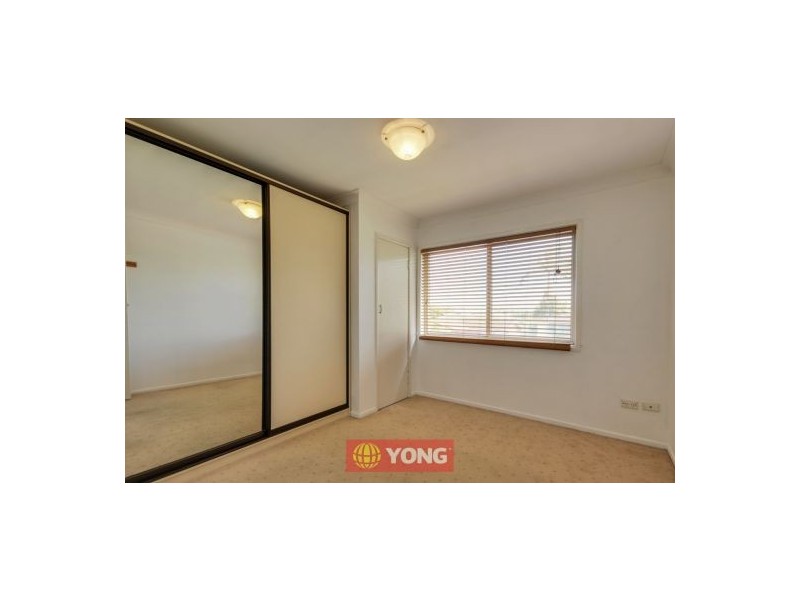 38 Portulaca St, Macgregor QLD 4109