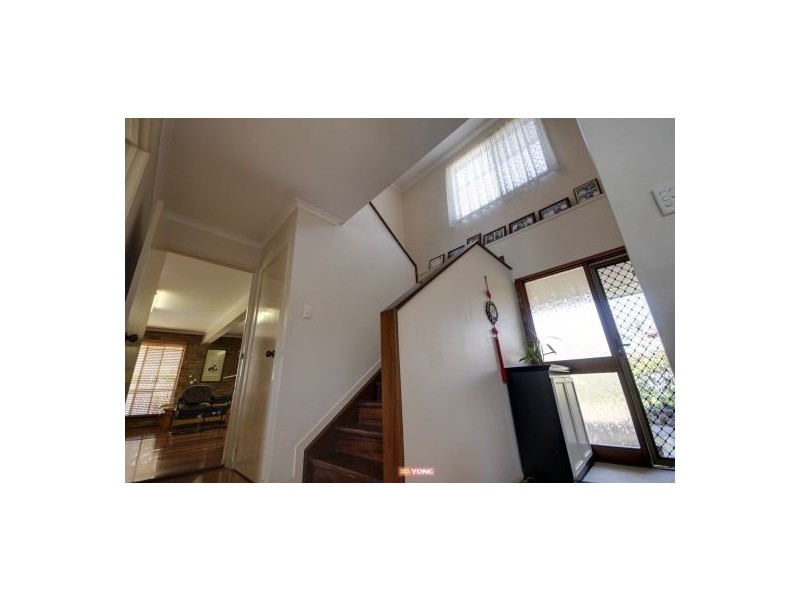 17 Mintwood Pl, Sunnybank Hills QLD 4109