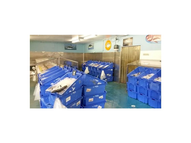 Tweed Heads NSW 2485