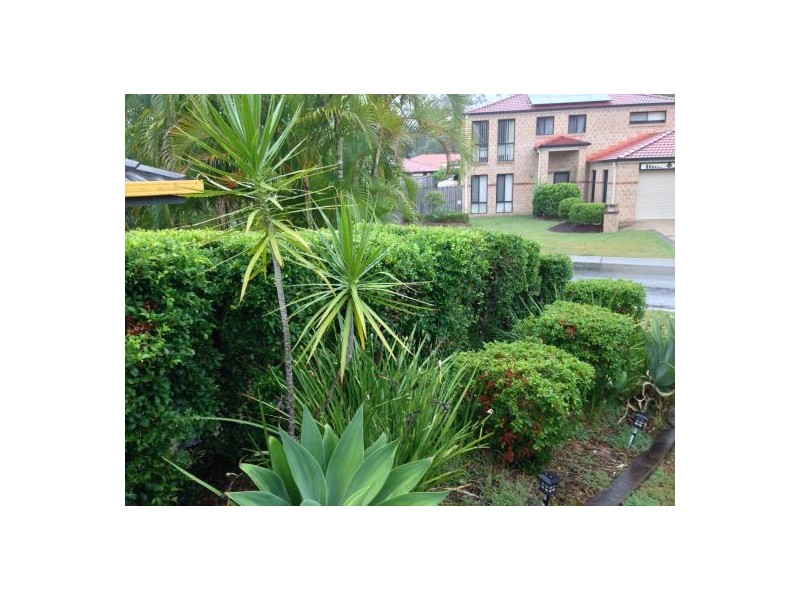 7 Clifford Close, Kuraby QLD 4112