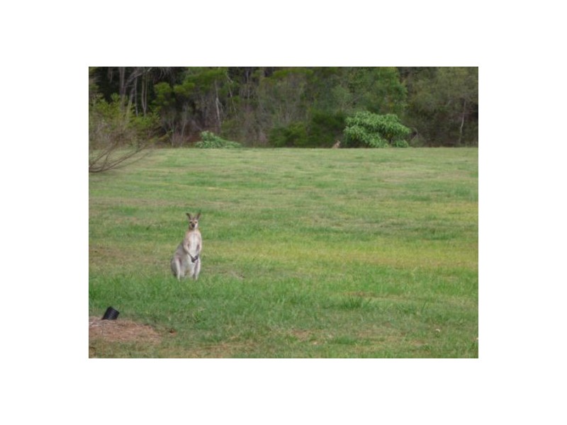 18 John Markwell Pde, Daisy Hill QLD 4127