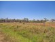 2634. Logan Rd, Eight Mile Plains QLD 4113
