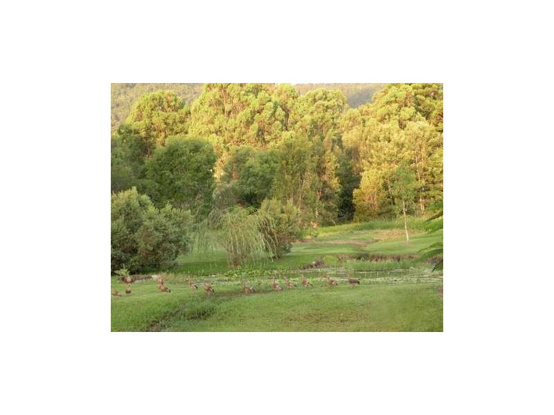 Boyland QLD 4275