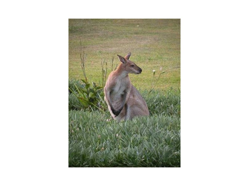 Boyland QLD 4275