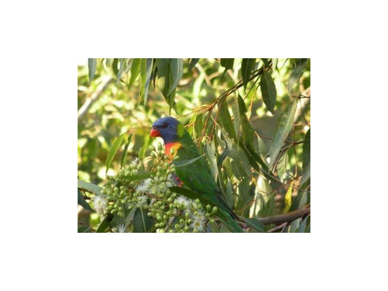 Boyland QLD 4275