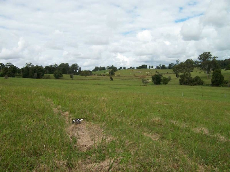 Mapleton QLD 4560