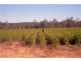 Lismore NSW 2480