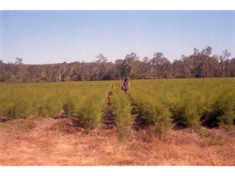 Lismore NSW 2480