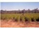 Lismore NSW 2480