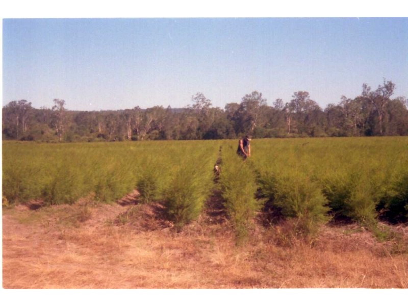 Lismore NSW 2480