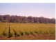 Lismore NSW 2480