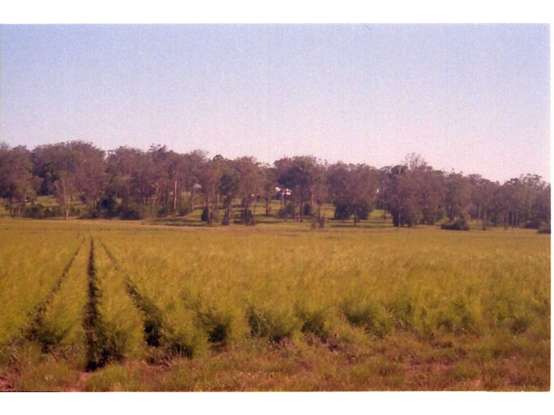 Lismore NSW 2480