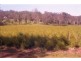 Lismore NSW 2480