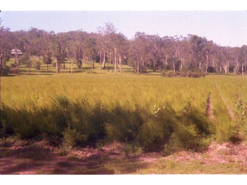 Lismore NSW 2480