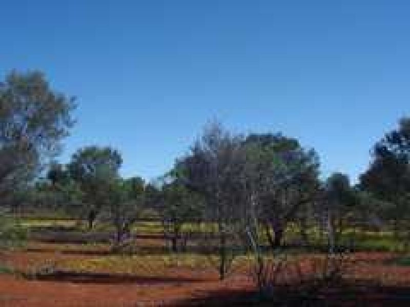 . COOLABAH, Coolabah NSW 2831