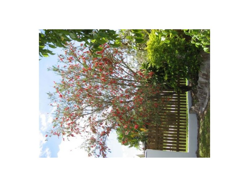 11 Foxtail Street, Mount Sheridan QLD 4868