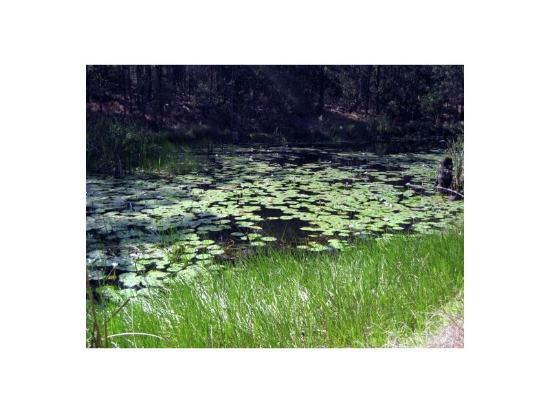 484 BURRIDGE RD, Tandur QLD 4570