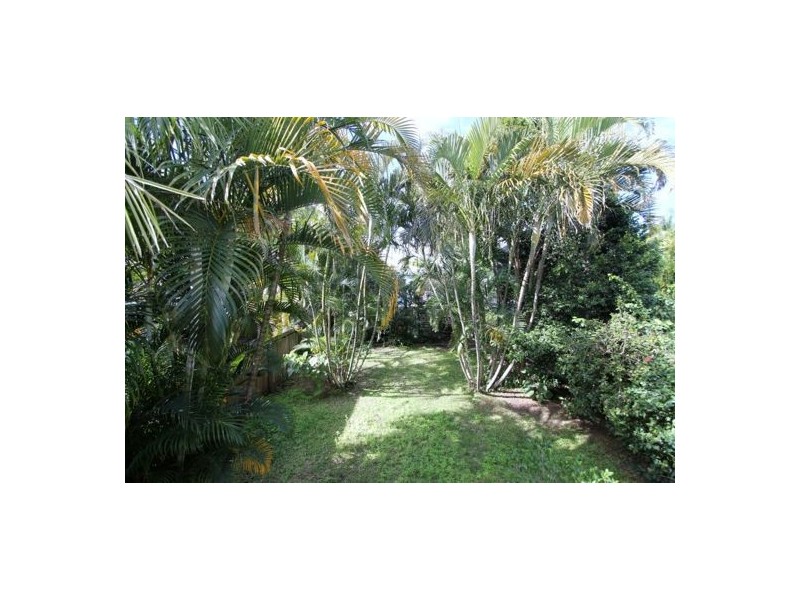 61 GEELONG STREET, East Brisbane QLD 4169