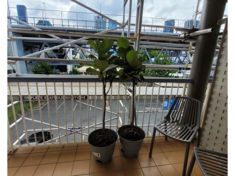 33/45 Wharf Street, Kangaroo Point QLD 4169