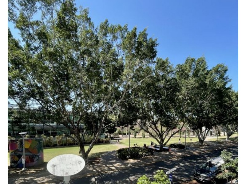 2122/178 Grey Street, South Brisbane QLD 4101