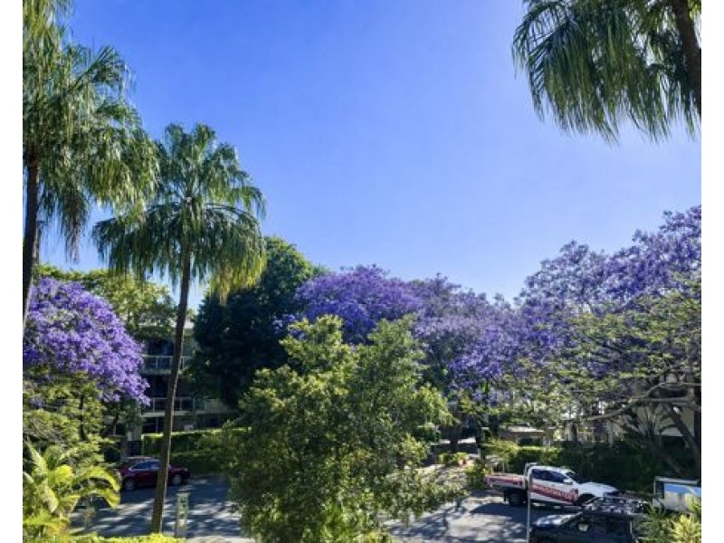 69/15 Goodwin Street, Kangaroo Point QLD 4169