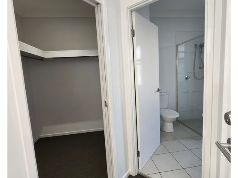 20 NOELA STREET, Coorparoo QLD 4151