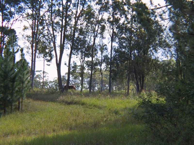 484 BURRIDGE RD, Tandur QLD 4570