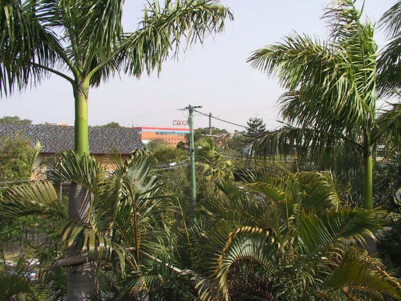 120 CAVENDISH ROAD, Coorparoo QLD 4151