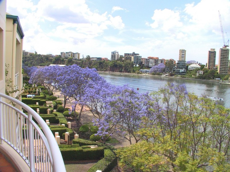 Kangaroo Point QLD 4169