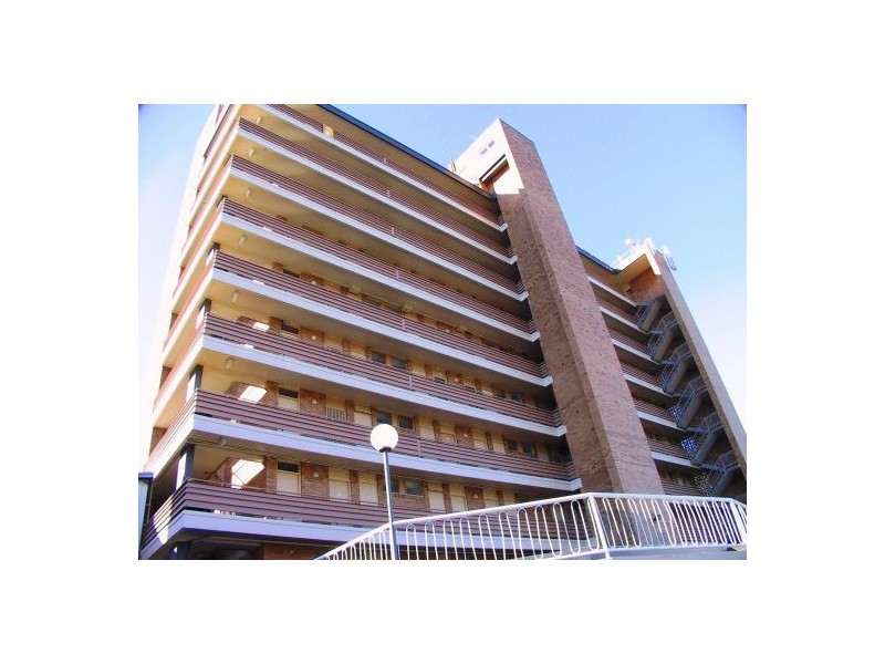 Kangaroo Point QLD 4169