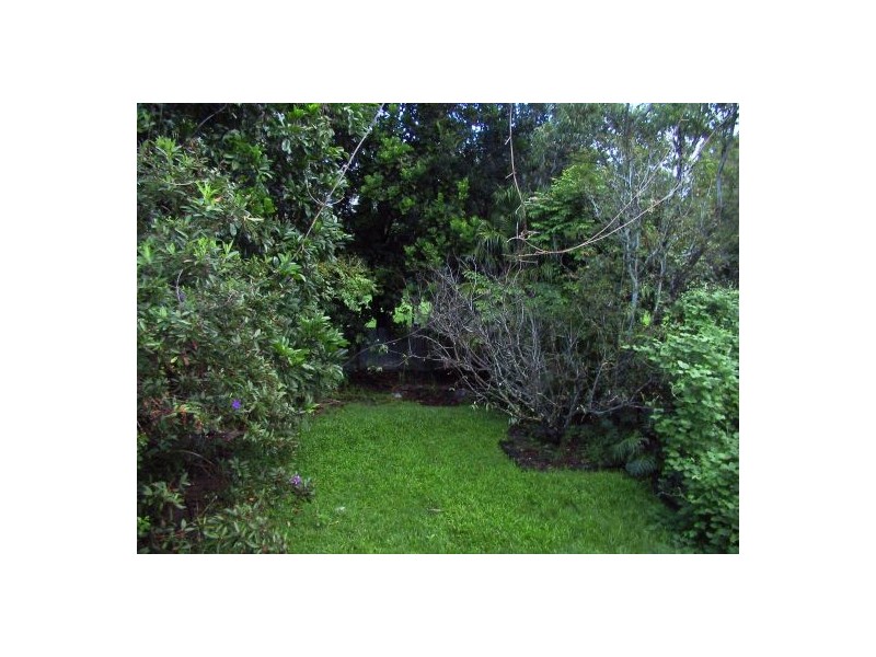 015 WITTON ROAD, Indooroopilly QLD 4068