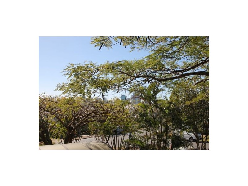 1.1 Lomond Tce, East Brisbane QLD 4169