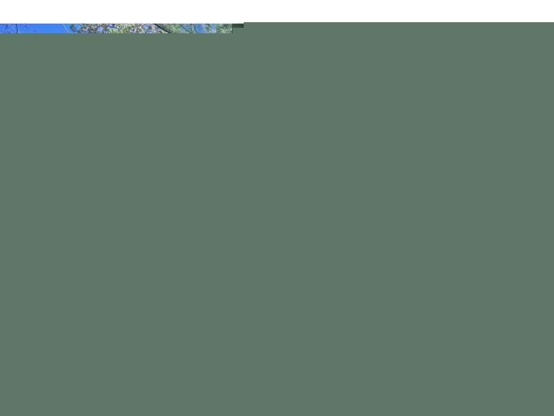 2/139 Lytton Road, East Brisbane QLD 4169