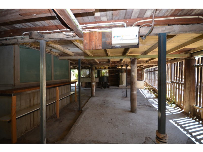 41 Walter Avenue, East Brisbane QLD 4169