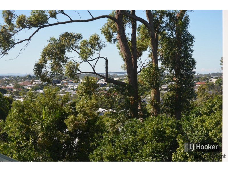 29 Philip Street, Hawthorne QLD 4171