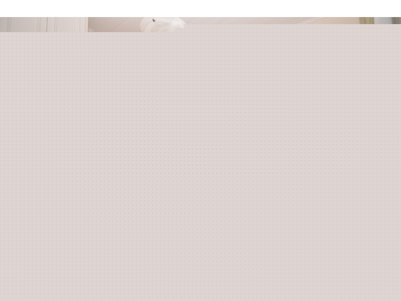 37 Baines Street, Kangaroo Point QLD 4169