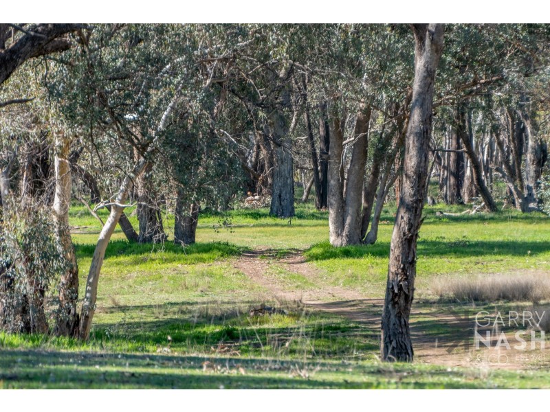 49 Wirrinya Avenue, Glenrowan VIC 3675