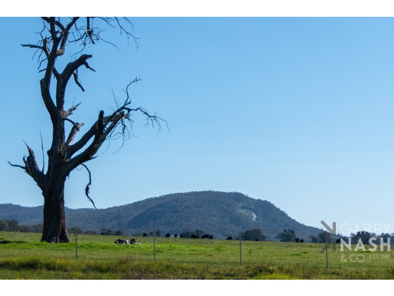 49 Wirrinya Avenue, Glenrowan VIC 3675