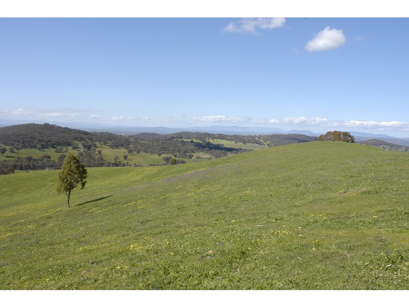 446 Embling Road, Upper Lurg VIC 3673