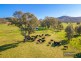 548 Laceby-Glenrowan Road, Glenrowan VIC 3675