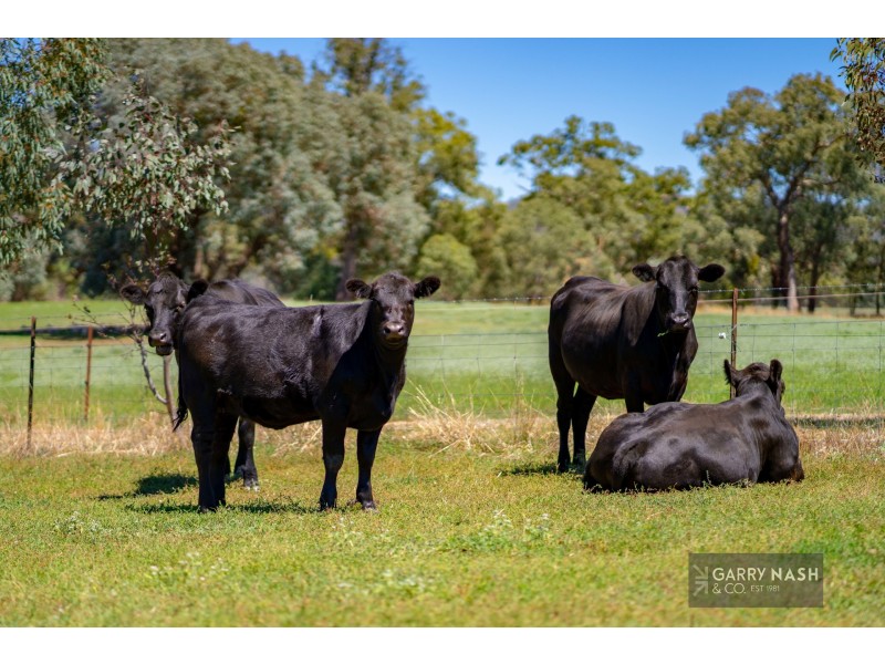 24 Francis Road, Killawarra VIC 3678