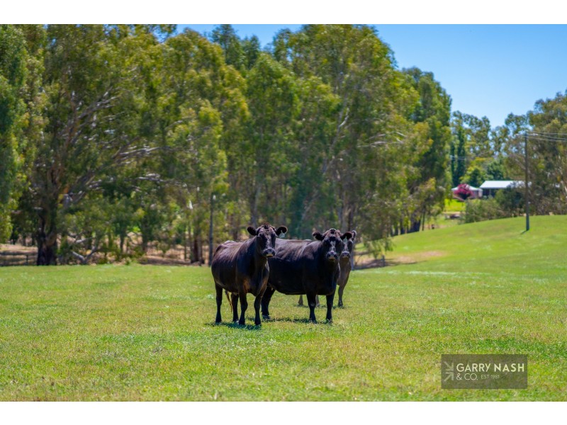 24 Francis Road, Killawarra VIC 3678