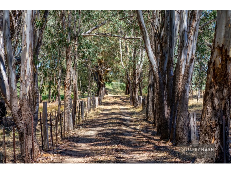 24 Francis Road, Killawarra VIC 3678