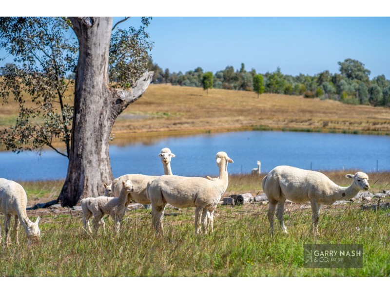 1661 Beechworth-Wangaratta Road, Everton Upper VIC 3678