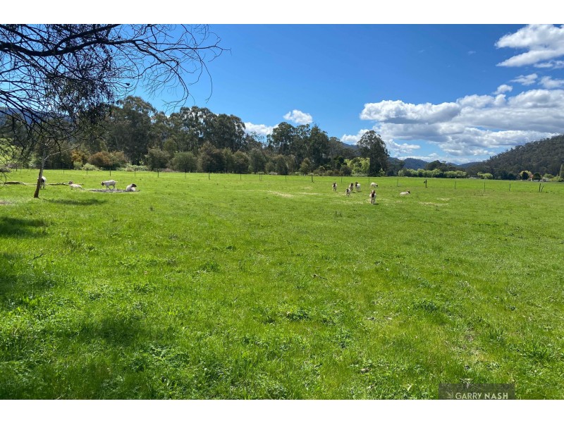 3A / 366 Burrowes Road, Cheshunt VIC 3678